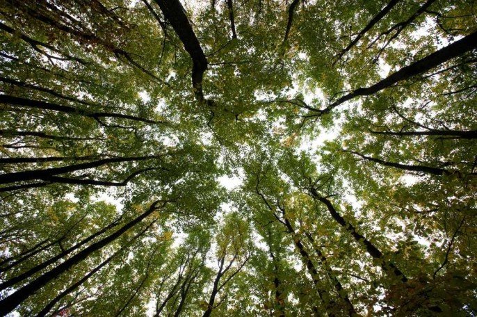 Premiere of work for SATB choir and Flute Orchestra in Michigan